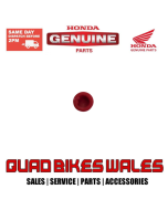 Genuine Honda CAP REVERSE PIN 53187-VM6-000