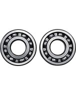 Crank Bearing Kit To Fit Honda Kawasaki ATC TRX KLF KLT KLX 76-18 Models
