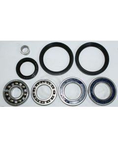 Arctic Cat 500 FIS Rear Differential Bearing and Seal Kit