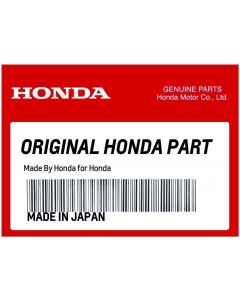 Genuine Honda Pioneer 520 Fabric Rear Panel