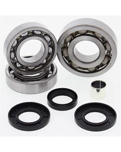 Polaris 325 500 Magnum Front Differential Bearing and Seal Kit
