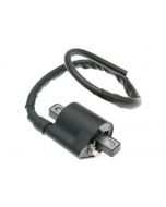 Chinese Quad Parts Ignition Coil 16778