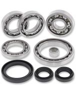 Can-Am Commander 800 1000 16-17 Rear Diff Bearing Kit