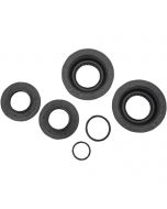 Differential Seal Only Kit Rear To Fit Honda TRX450 500 FA FM IRS 15-18 Models