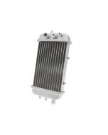 Chinese Quad Parts Radiator Silver 34399
