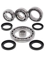 Differential Bearing and Seal Kit Rear To Fit Suzuki LT-A LT-F 500 01-02 Models